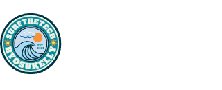 SurfTheTech